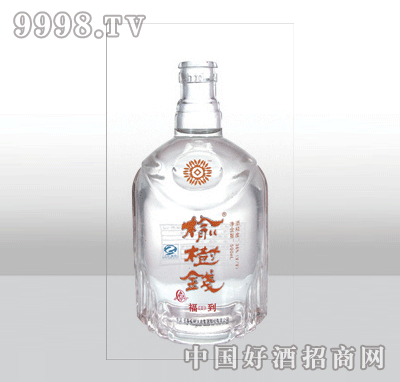 ZH-374߰ײƿ500ml