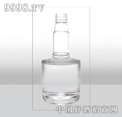 ZH-369߰ײƿ500ml