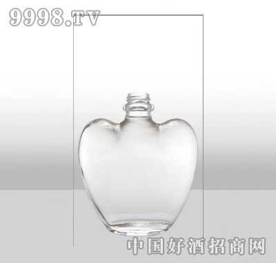 ZH-366߰ײƿ500ml