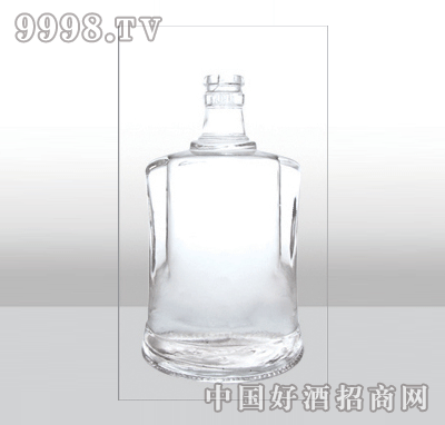 ZH-353߰ײƿ500ml