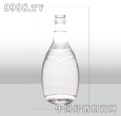 ZH-349߰ײƿ500ml