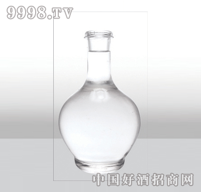 ZH-343߰ײƿ500ml