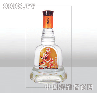 ZH-340߰ײƿ500ml