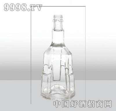 ZH-344߰ײƿ500ml