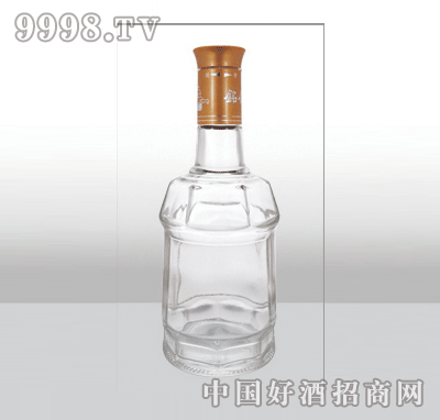 ZH-336߰ײƿ500ml