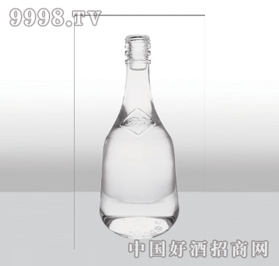 ZH-326߰ײƿ450ml