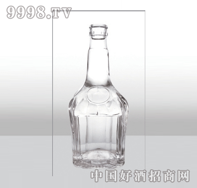 ZH-324߰ײƿ500ml