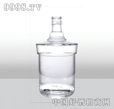 ZH-318߰ײƿ500ml