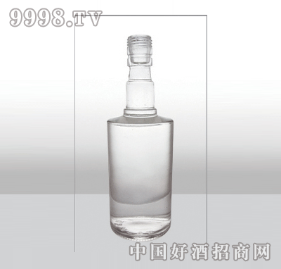 ZH-316߰ײƿ500ml