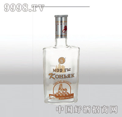 ZH-315߰ײƿ500ml