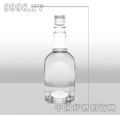 ZH-314߰ײƿ500ml