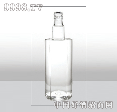 ZH-305߰ײƿ500ml