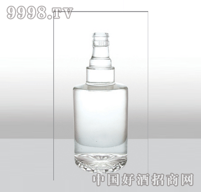 ZH-302߰ײƿ500ml