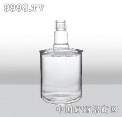 ZH-310߰ײƿ250ml