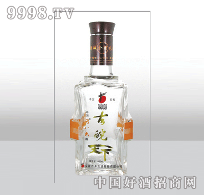 ZH-273-1߰ײƿ480ml