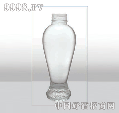 ZH-256߰ײƿ620ml