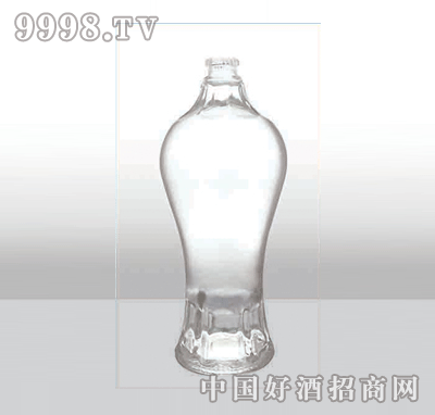 ZH-255߰ײƿ500ml