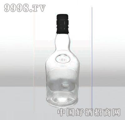 ZH-246߰ײƿ750ml