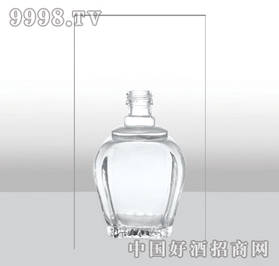 ZH-250߰ײƿ250ml