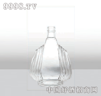 ZH-235߰ײƿ500ml