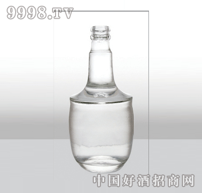 ZH-233߰ײƿ500ml