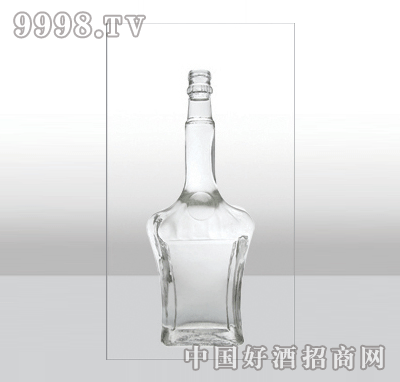 ZH-224߰ײƿ500ml