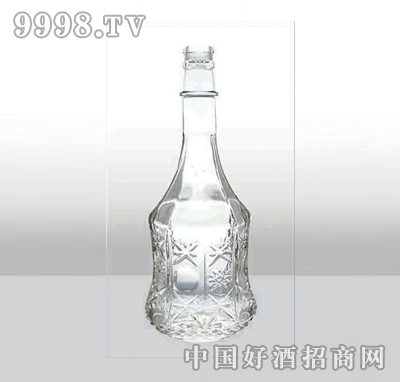 ZH-223߰ײƿ500ml