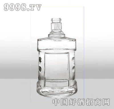 ZH-220߰ײƿ500ml