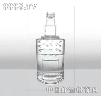 ZH-216߰ײƿ500ml