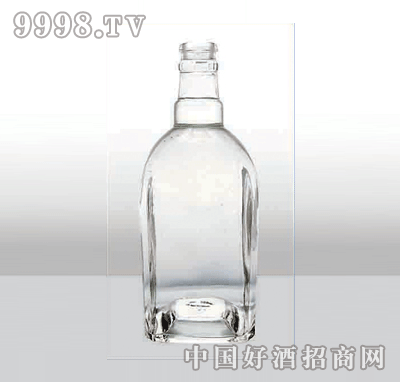 ZH-214߰ײƿ500ml