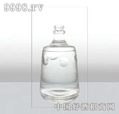 ZH-213߰ײƿ500ml