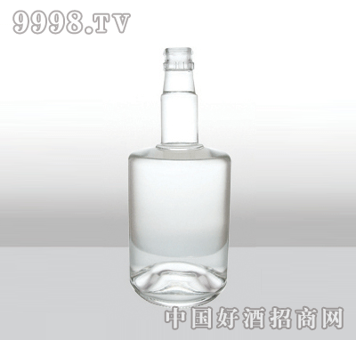 ZH-209߰ײƿ500ml