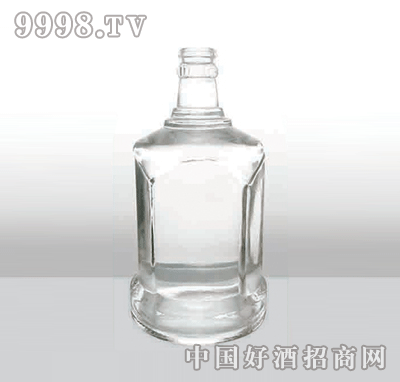 ZH-207߰ײƿ500ml