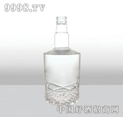 ZH-206߰ײƿ500ml