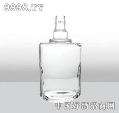 ZH-205߰ײƿ500ml