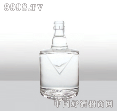 ZH-204߰ײƿ500ml