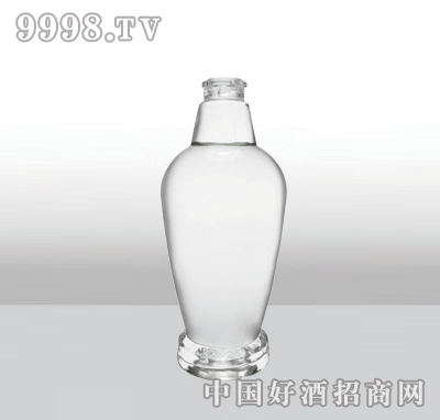 ZH-208߰ײƿ500ml