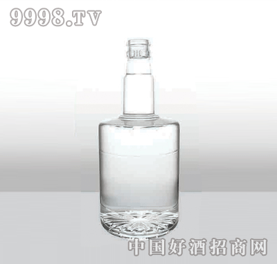 ZH-189߰ײƿ500ml