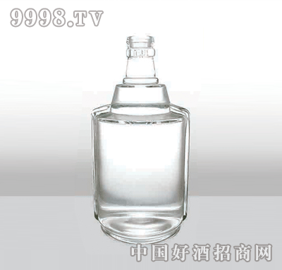 ZH-188߰ײƿ500ml