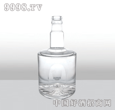 ZH-170߰ײƿ500ml