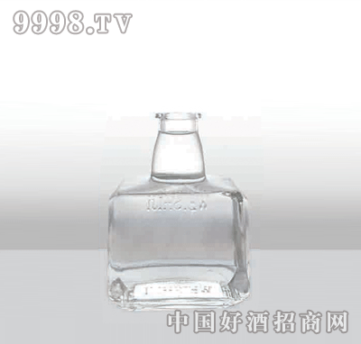 ZH-166߰ײƿ500ml