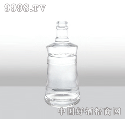 ZH-165߰ײƿ500ml