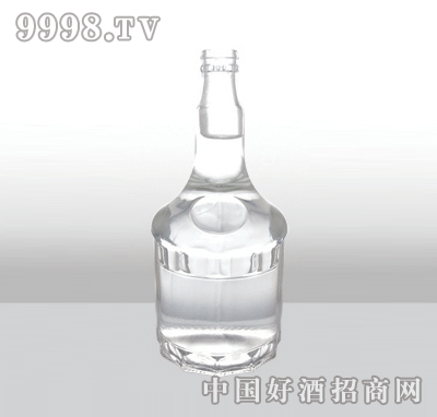 ZH-158߰ײƿ500ml