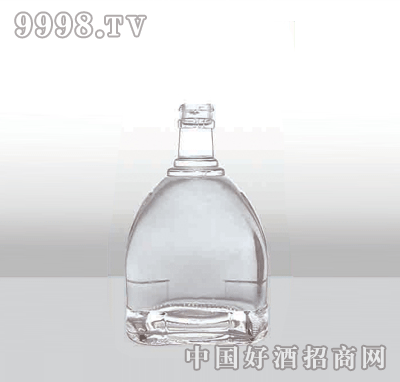 ZH-154߰ײƿ500ml