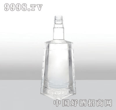 ZH-153߰ײƿ500ml