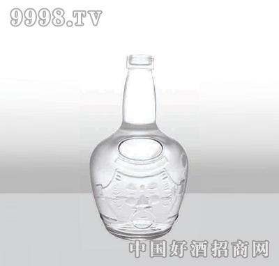 ZH-151߰ײƿ500ml