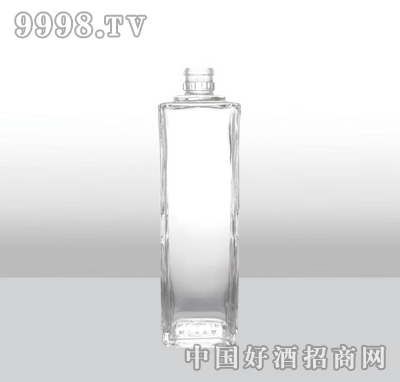 ZH-145߰ײƿ500ml