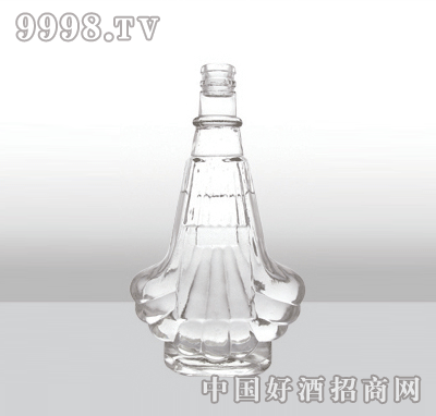 ZH-140߰ײƿ500ml