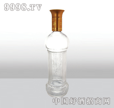 ZH-139߰ײƿ500ml