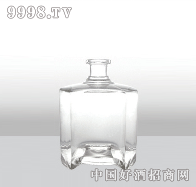 ZH-132߰ײƿ500ml